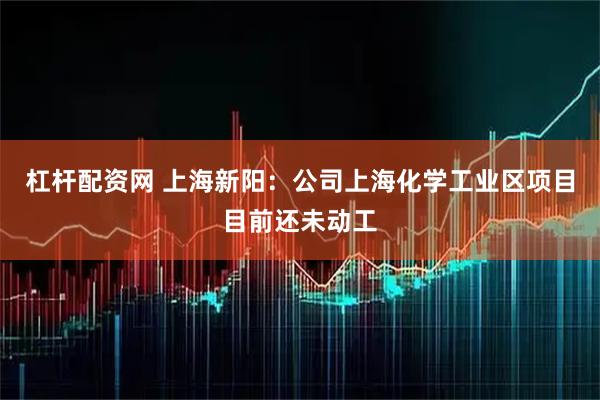杠杆配资网 上海新阳：公司上海化学工业区项目目前还未动工
