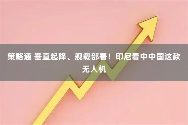 策略通 垂直起降、舰载部署！印尼看中中国这款无人机