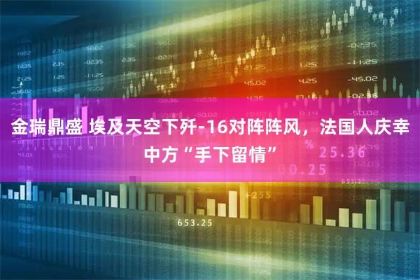 金瑞鼎盛 埃及天空下歼-16对阵阵风，法国人庆幸中方“手下留情”